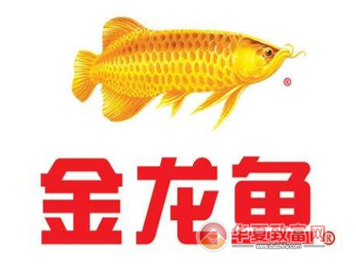 金龙鱼加盟